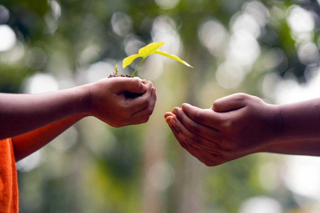 hands, soil, plant, environment, growth, nature, dirt, agriculture, tree, care, seedling, protection, seed, cultivated, sapling, gardening, hope, idea, concept, humans, people, share, help, giving, passing, seedling, share, share, giving, giving, giving, giving, giving